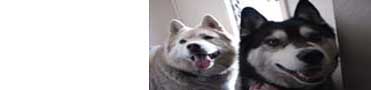 Slideshow Image 2b